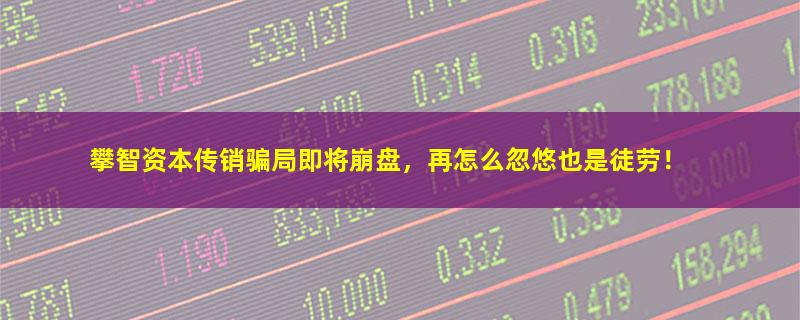 攀智资本.jpg