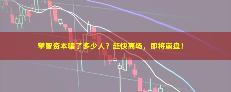 攀智资本.jpg